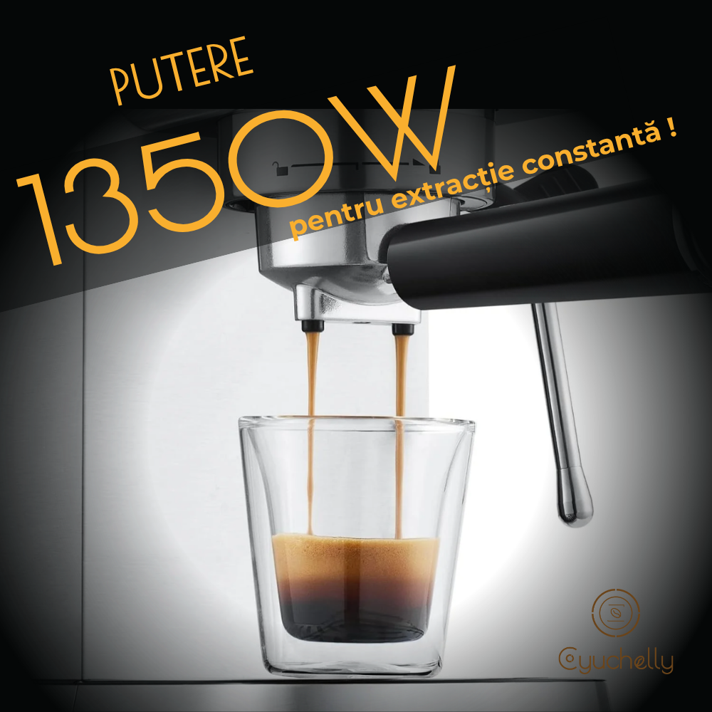 Espressor manual , Pompa italiana ULKA 20Bari, Recipient apa detasabil 1L, 1350W
